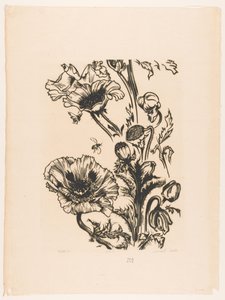 Studie papavers (eredeti cím a tárgyon) alkotó: Johannes Frederik Engelbert ten Klooster (signed by artist)