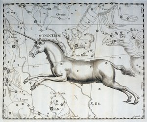 Monoceros, egyszarvú csillagkép, metszet a Firmamentum Sobiescianum sive Uronographia égi atlaszból, Johann Hevelius (1611-1687), Gdansk