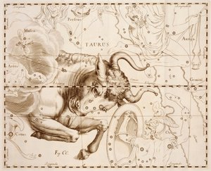Taurus (állatövi jegy), metszet a Firmamentum Sobiescianum sive Uranographia, Teljes csillagkatalógus, Johann Hevelius (1611-1687), Gdanskban nyomtatott kiadványából.