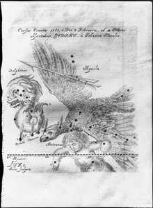 Az üstököst Johannes Hevelius fedezte fel és figyelte meg 1661. február 3. és március 28. között Gdanskban