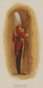Gentleman at Arms (színes litó)