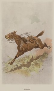 Riderless (színes litó)