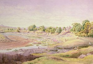 Chappara alkotó: John Alexander Temple