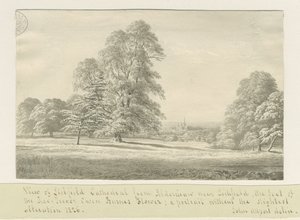 Lichfield katedrális - Kilátás Aldershaw felől (távol): szépia rajz