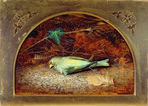 Egy halott Linnet alkotó: John Atkinson Grimshaw