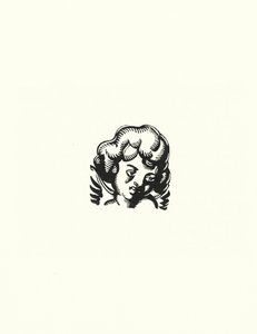 Illusztráció: Madame Bovary, Gustave Flaubert (litho) alkotó: John Austen