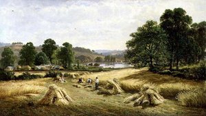 Az Aranyszem összegyűjtése Bishopsteignton közelében, Plymouthban alkotó: John Barrett