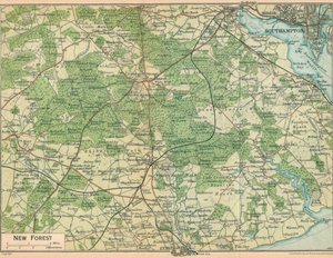 Új erdő, c20. század alkotó: John Bartholomew