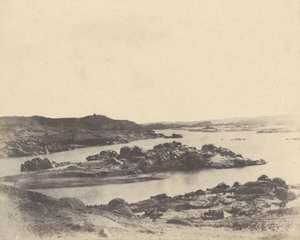 Elefántszerű. Első szürkehályog alkotó: John Beasly Greene