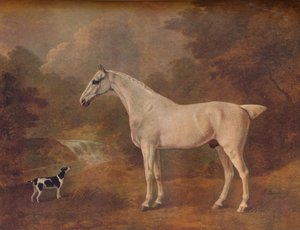 Egy bolhacsípés szürke és egy foltos terrier, 1803.