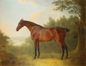 Marquis, öbölvadász a tájon, 1811