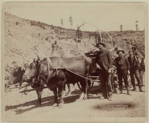 1889 - Aranyásók indulnak az aranylelőhelyekre (fekete-fehér fotó)