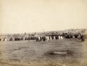 Indiai Tanács az ellenséges táborban, 1891