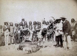 Nyúzott marhahús, 1891