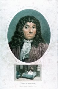 Anton van Leeuwenhoek 1632-1723, holland mikroszkopikus, 1810