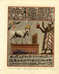 Egy egyiptomi kézirat egy része, amelyet egy múmia fejtésénél találtak meg alkotó: John Chapman