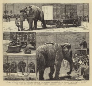 A Myers Nagy Amerikai Cirkusz és Hippodrom árverésen történő eladása