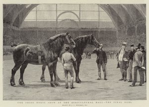 A Shire Horse Show a mezőgazdasági csarnokban, a döntő párbaj alkotó: John Charles Dollman