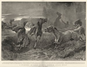 A Stampede, egy kora reggeli meglepetés-támadás elrontott