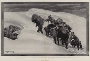 Ételek az éhezőknek, havas juhokat gondoznak a Northumberlandi dombokon