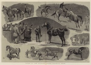 Megjegyzések a Hackney Horse Society kiállításán