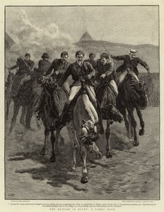 A britek Egyiptomban, A teveverseny