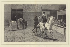 A Horse Show a mezőgazdasági csarnokban, az arabok a ringben