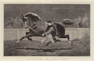 Az Islington Horse Show, ügető roadsterrel