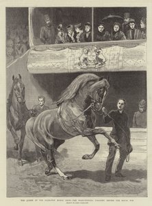 A királynő az Islington Horse Show-n, a díjazottak felvonulnak a királyi páholy előtt