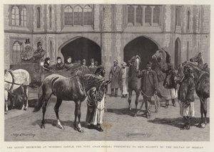 A királynő a windsori kastélyban átveszi az öt arab lovat, amelyet Muscat szultána ajándékozott Őfelségének