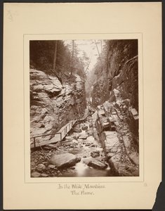A Fehér-hegységben/The Flume alkotó: John Coates Browne