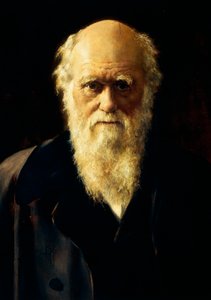 Charles Darwin portréja
