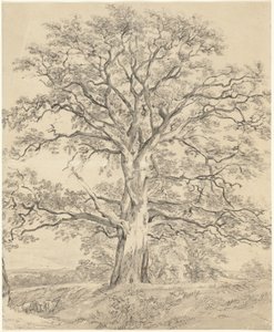 Egy nagy tölgyfa alkotó: John Constable