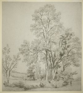 Szilfa-állomány (recto); Kelet-Bergholt tanulmánya az egyházzal (verso) alkotó: John Constable