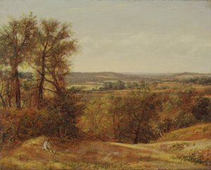 Dedham Vale alkotó: John Constable