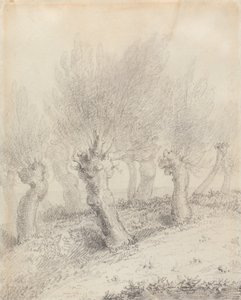 Csonkolt fűzfák alkotó: John Constable