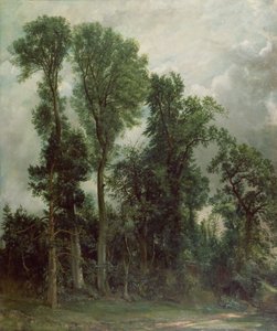 Fák Hampsteadben alkotó: John Constable