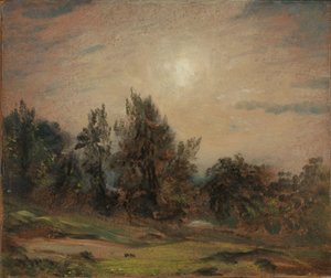 Fák a Hampstead Heath-en alkotó: John Constable