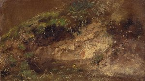 Aljnövényzet, 1821 körül (olaj, papír a táblán) alkotó: John Constable