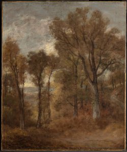 Erdei táj kilátással a Dedham-völgyre alkotó: John Constable