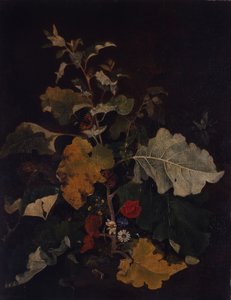 Tanulmány egy bojtorjánról alkotó: John Crome