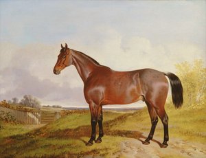 Tanulmány egy Bay Hunterről egy tájban, 1854
