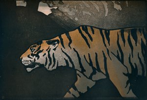 A tigris, c1900