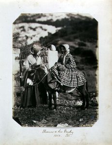 Eleanor és a szamara alkotó: John Dillwyn Llewelyn
