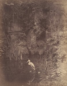 Halász 2, 1856