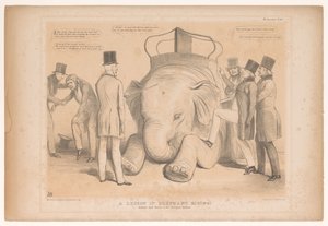 Kiváló Henry Hardinge és India kormányzója Elefántlovaglás lecke! Természetből tanulmányozva az Állatkertben (cím a tárgyon) HB Sketches (sorozat címe az objektumon) alkotó: John Doyle