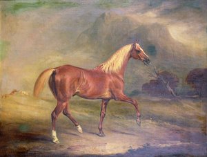 Gesztenye arab mén alkotó: John E. Ferneley