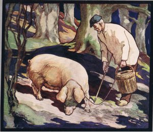 Egy disznó szarvasgomba után kutatva, illusztráció Gladys Davidson 1919-ben megjelent „Segítők keze nélkül” című művéből (színes litó)
