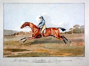 Mr. Wilson „Lurcher”, Dungannon alkotó: John Emery