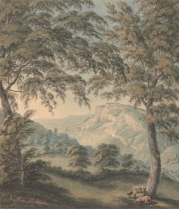 Matlock High Tor, Derbyshire alkotó: John Emes